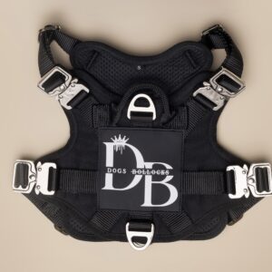 Silver non engraved harness small / medium / large